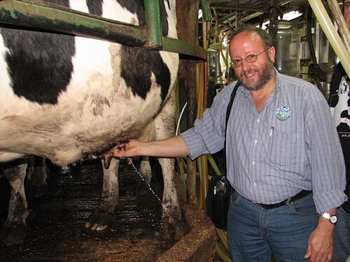 שביל פרות החלב